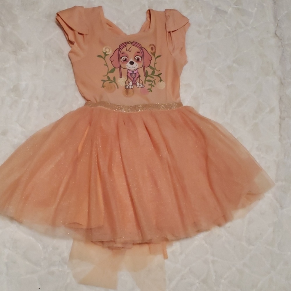 Paw patrol dress